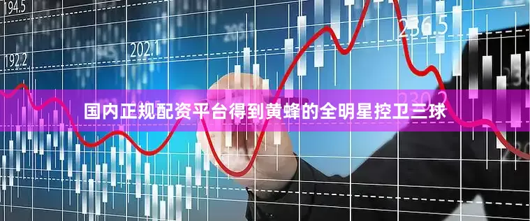 国内正规配资平台得到黄蜂的全明星控卫三球